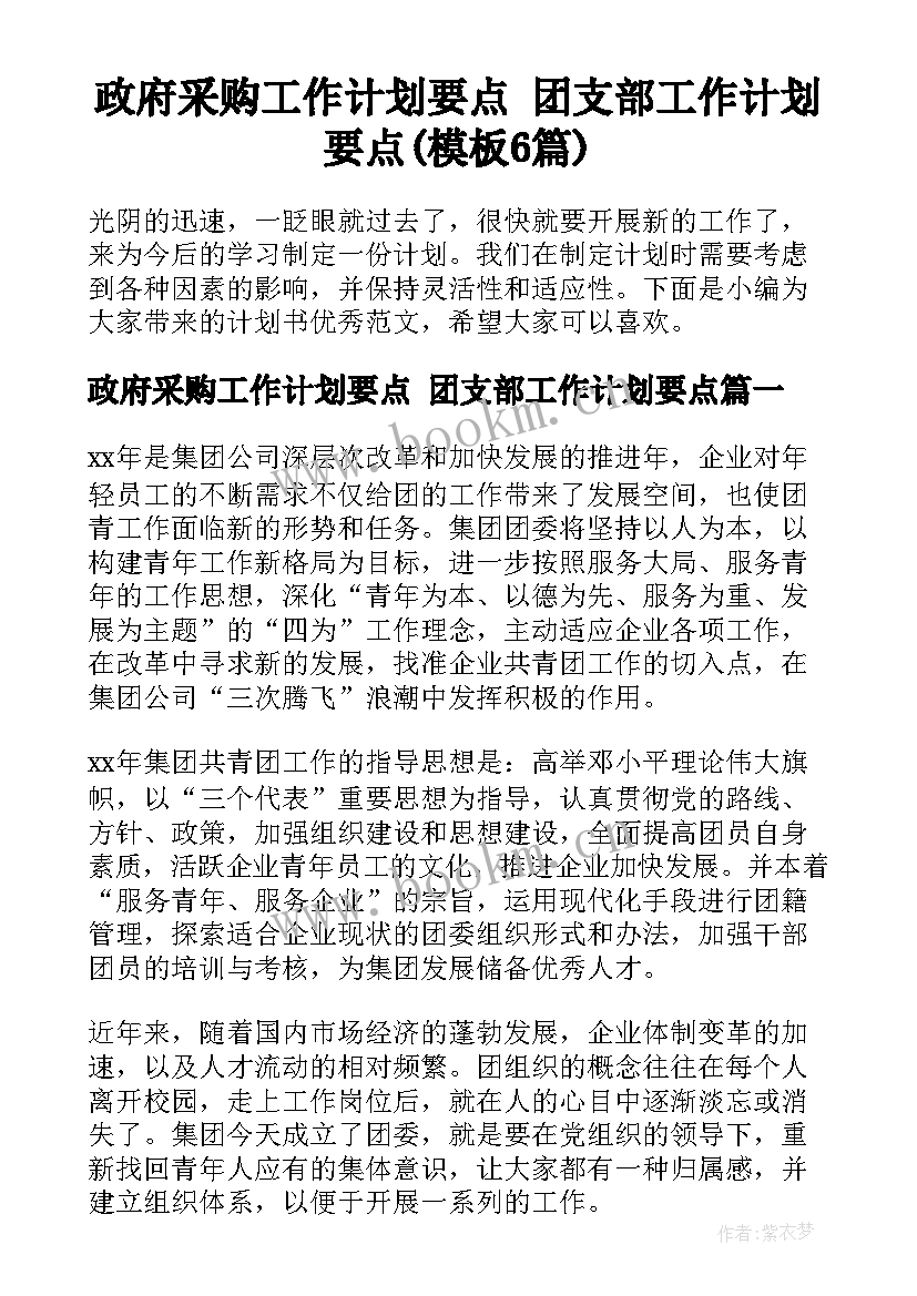 政府采购工作计划要点 团支部工作计划要点(模板6篇)