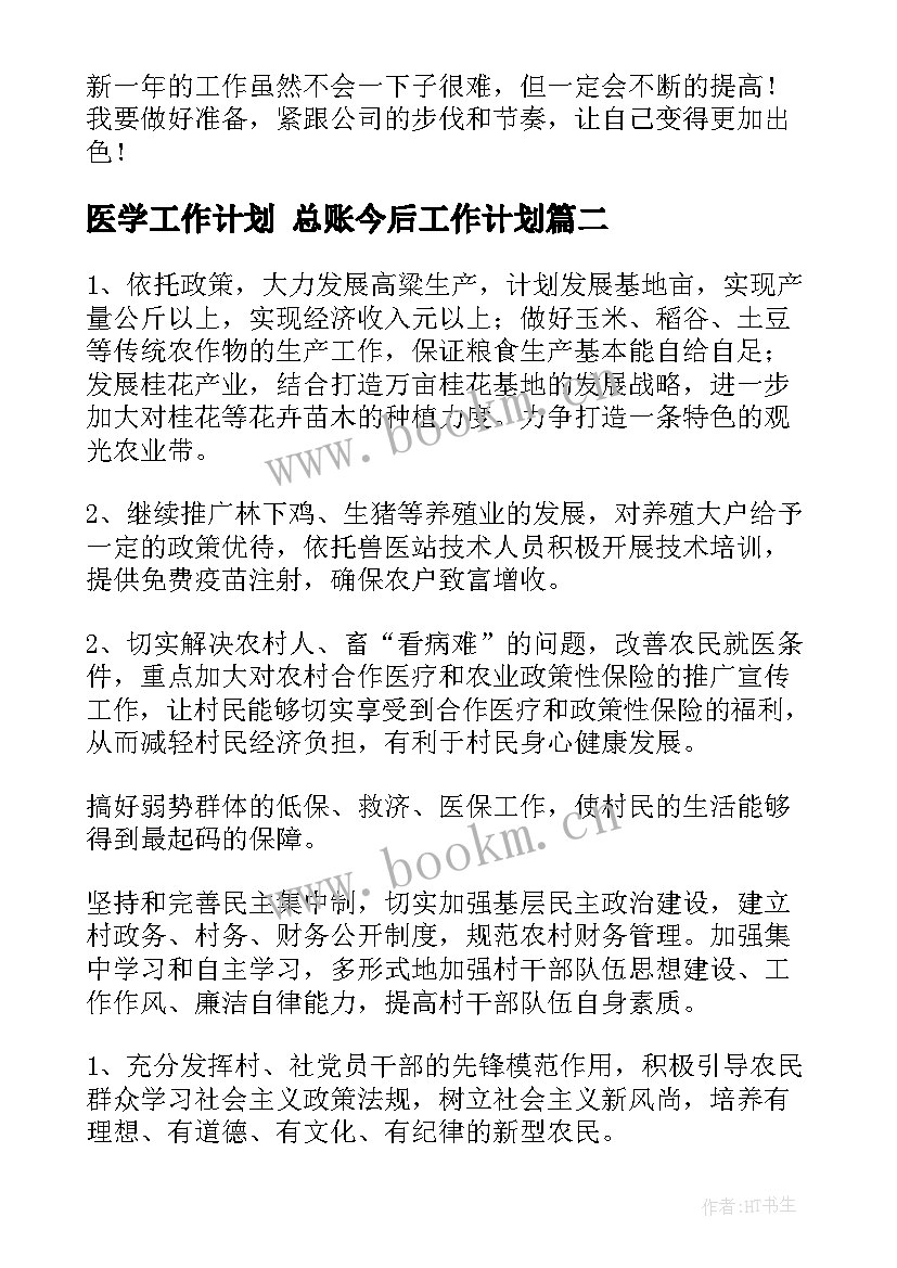 医学工作计划 总账今后工作计划(汇总10篇)