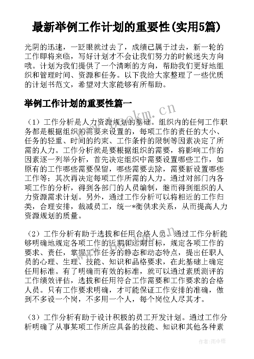 最新举例工作计划的重要性(实用5篇)