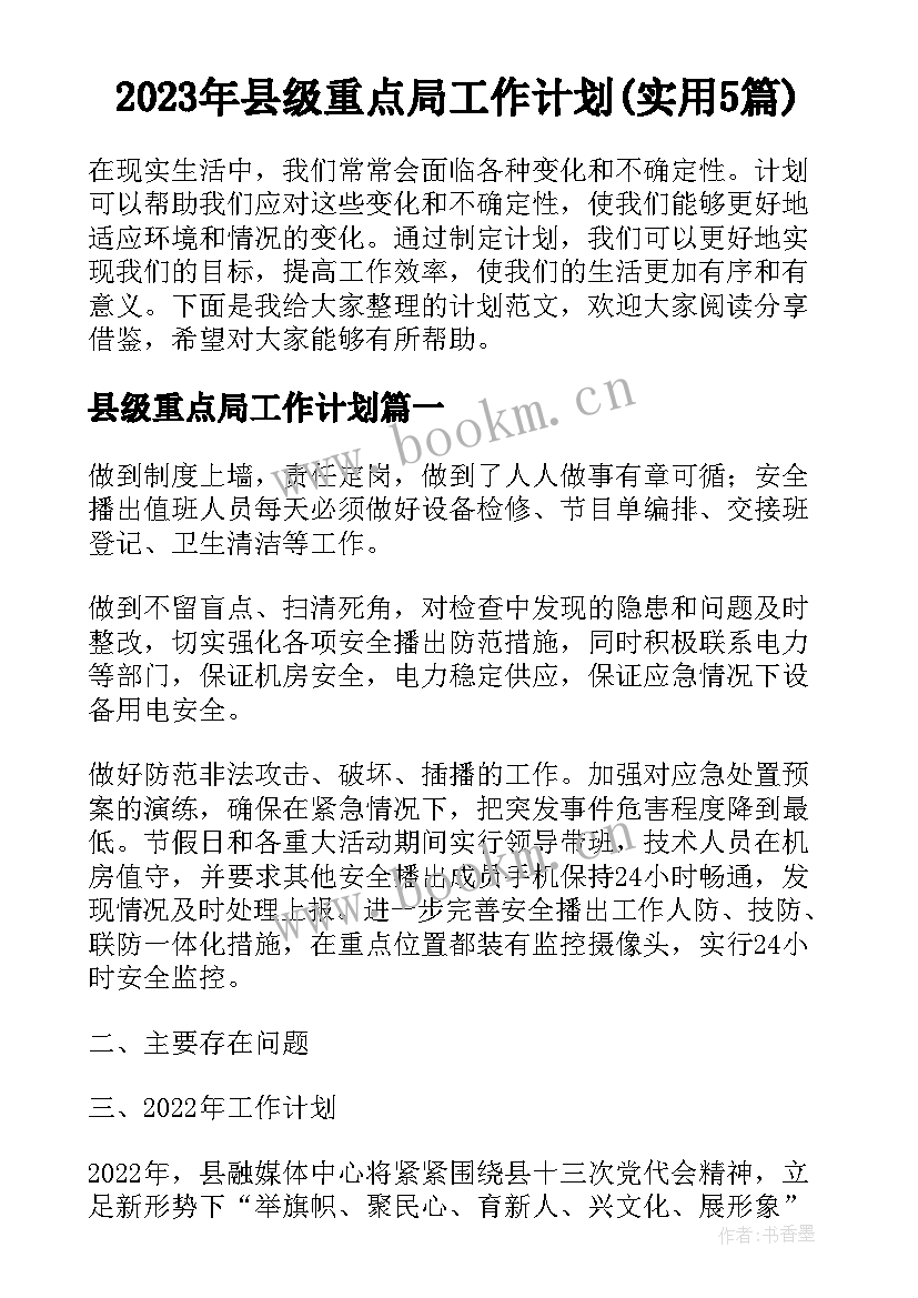 2023年县级重点局工作计划(实用5篇)