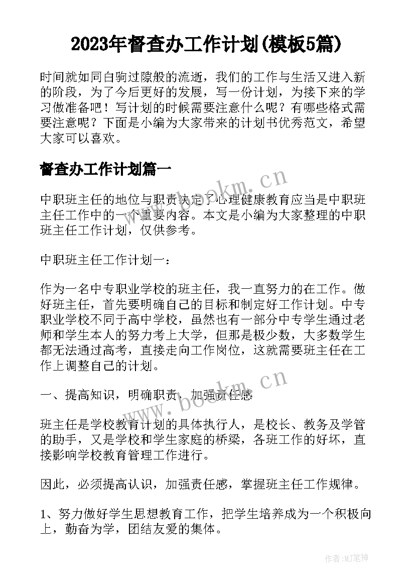 2023年督查办工作计划(模板5篇)