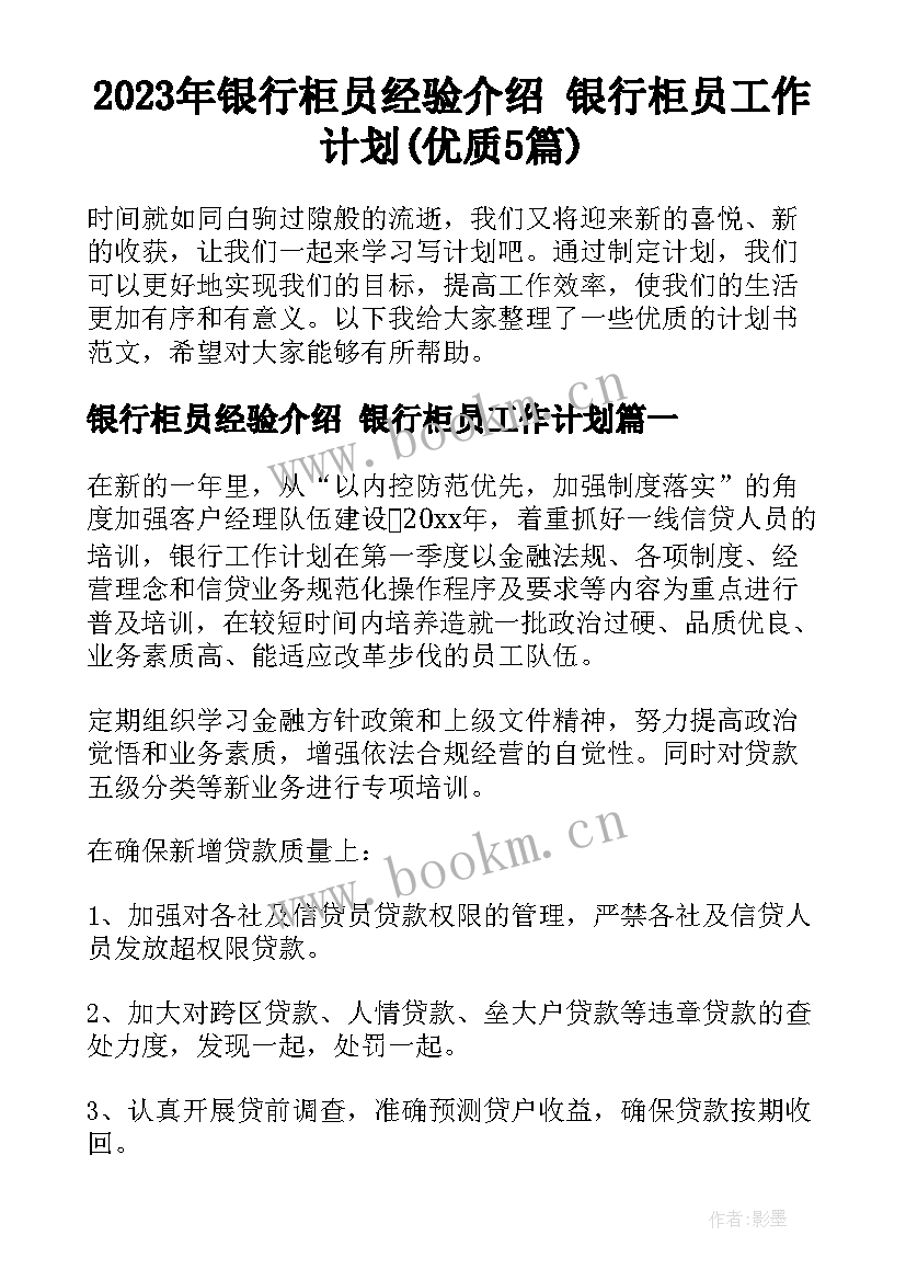 2023年银行柜员经验介绍 银行柜员工作计划(优质5篇)