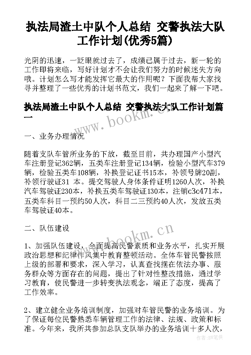 执法局渣土中队个人总结 交警执法大队工作计划(优秀5篇)