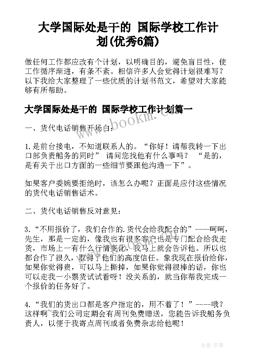 大学国际处是干的 国际学校工作计划(优秀6篇)