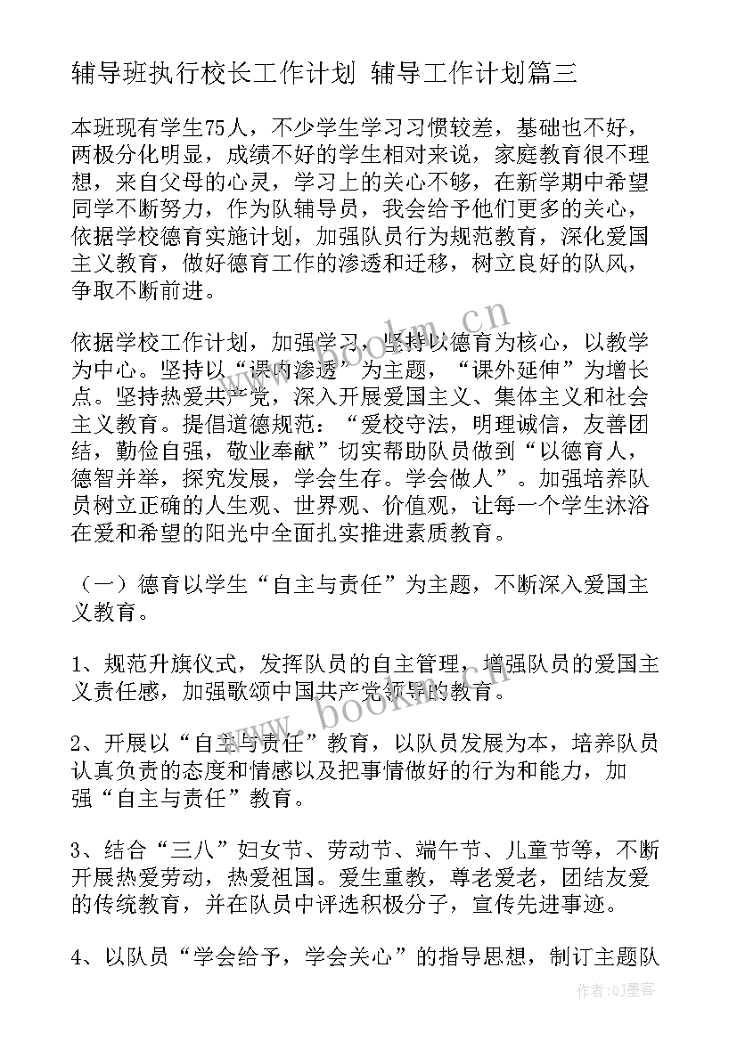 辅导班执行校长工作计划 辅导工作计划(大全7篇)