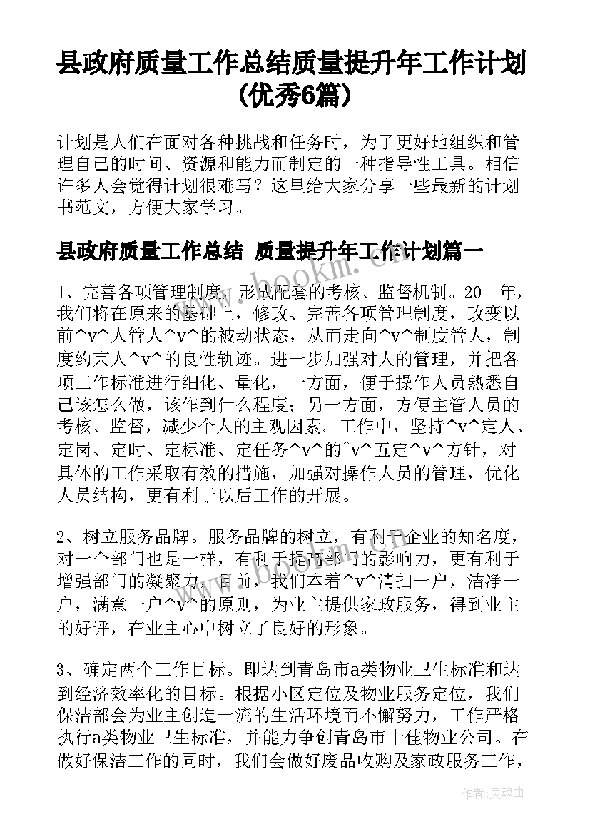 县政府质量工作总结 质量提升年工作计划(优秀6篇)