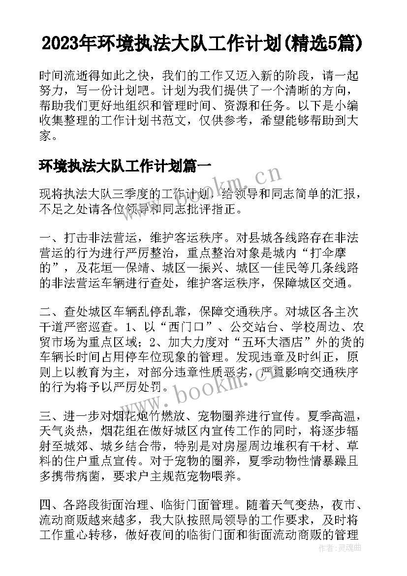 2023年环境执法大队工作计划(精选5篇)