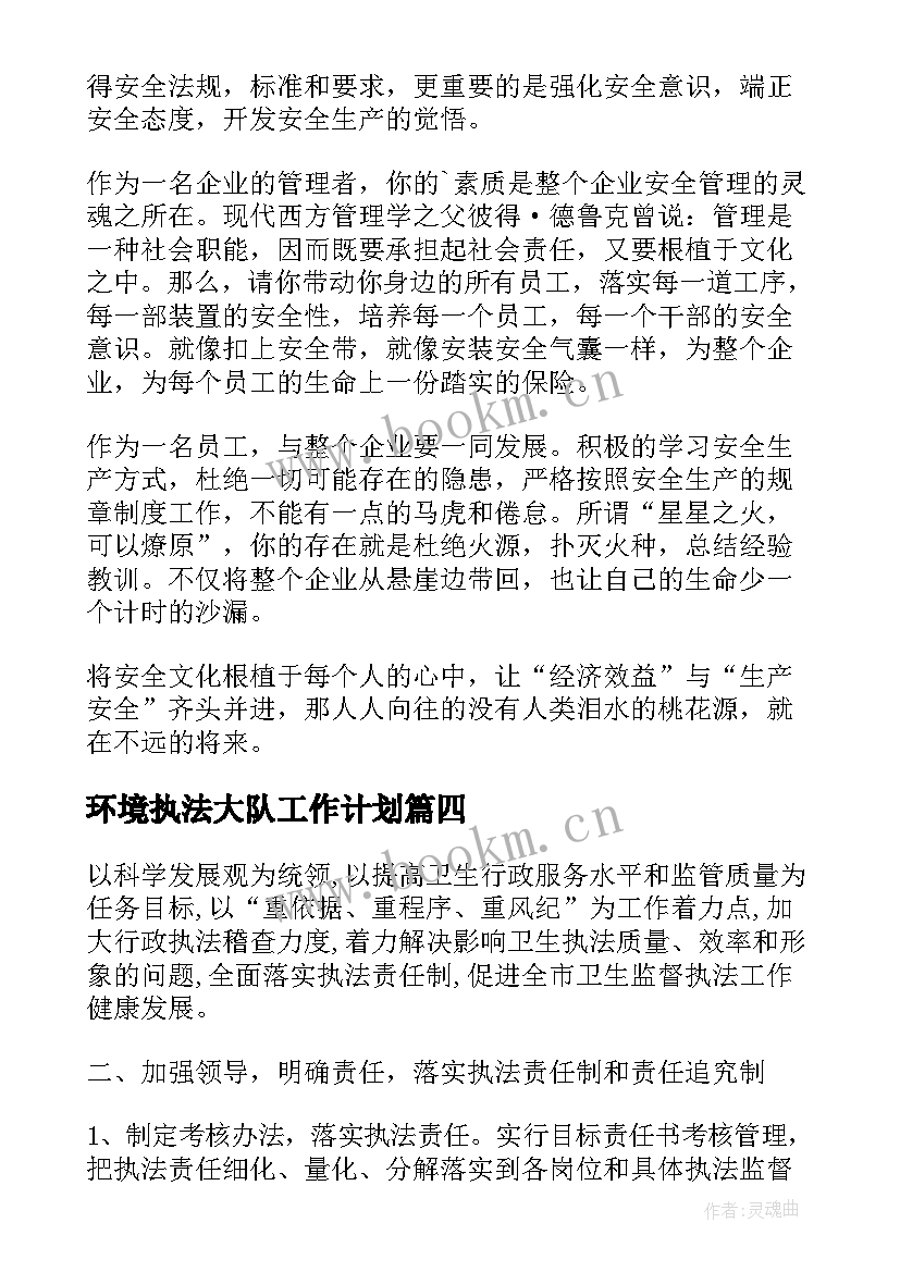 2023年环境执法大队工作计划(精选5篇)