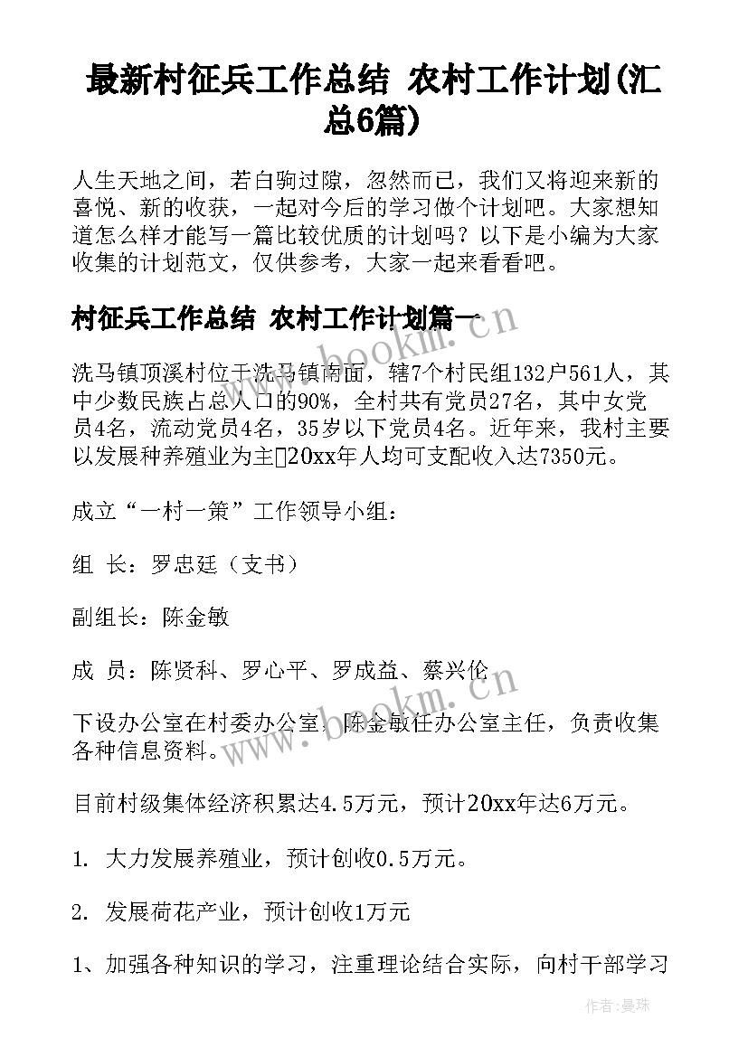 最新村征兵工作总结 农村工作计划(汇总6篇)