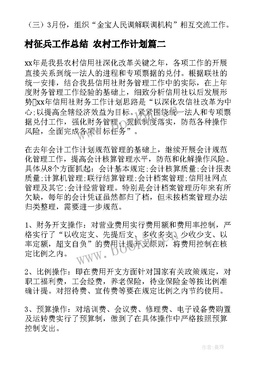 最新村征兵工作总结 农村工作计划(汇总6篇)