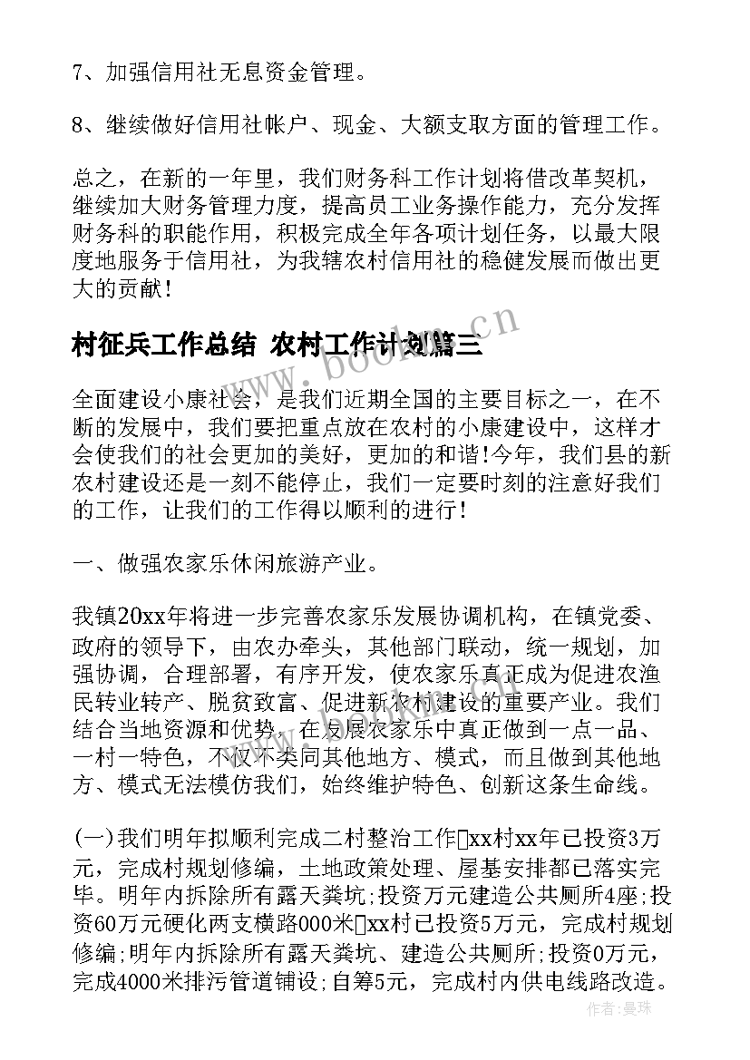 最新村征兵工作总结 农村工作计划(汇总6篇)