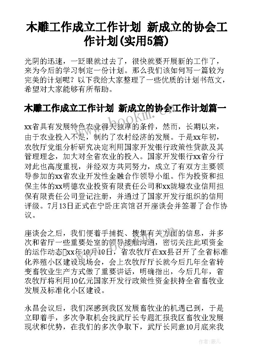 木雕工作成立工作计划 新成立的协会工作计划(实用5篇)