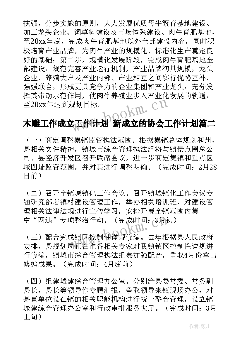 木雕工作成立工作计划 新成立的协会工作计划(实用5篇)