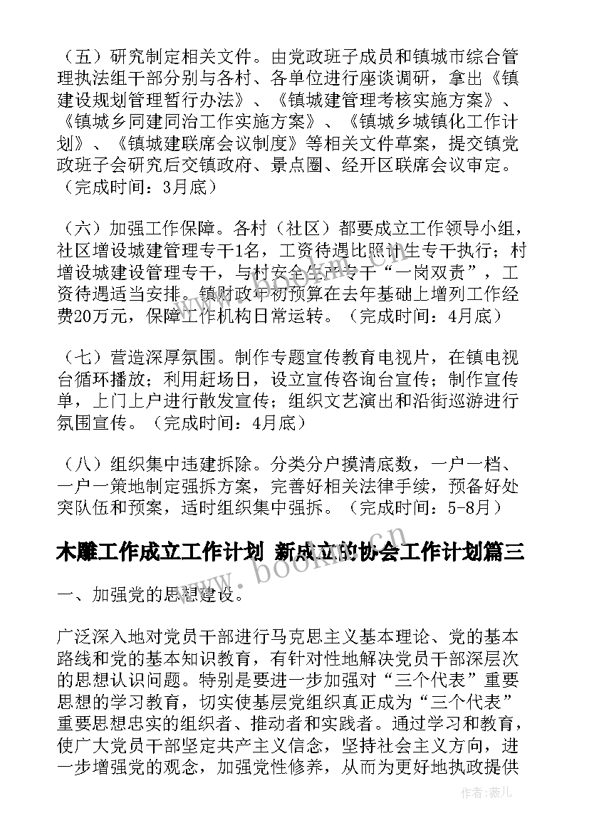 木雕工作成立工作计划 新成立的协会工作计划(实用5篇)