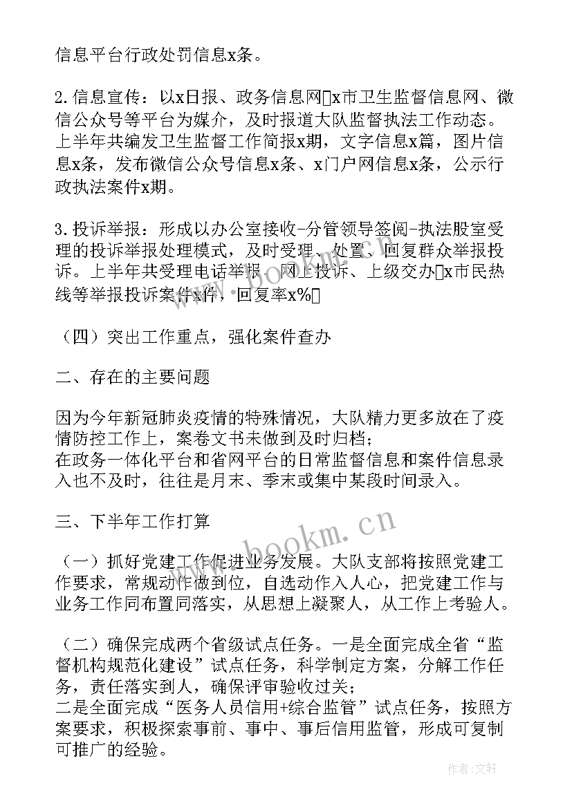 最新市容执法大队工作计划表(模板5篇)