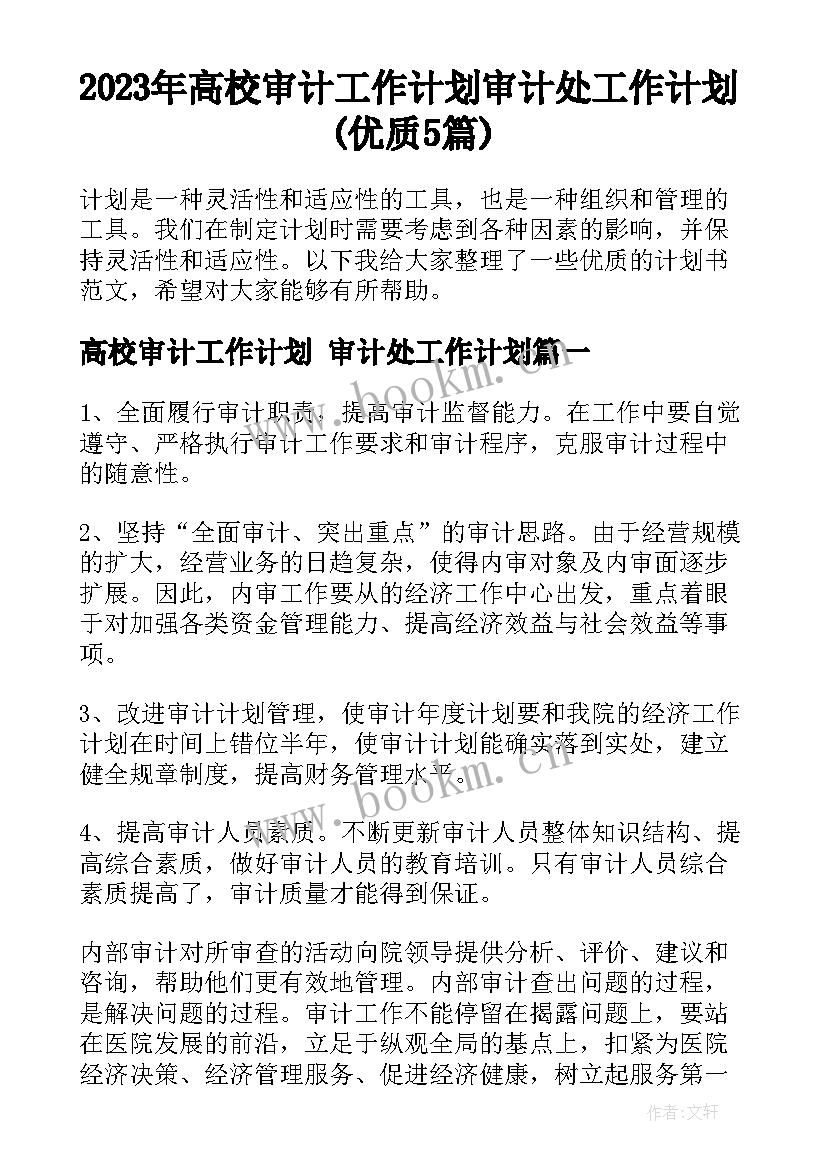 2023年高校审计工作计划 审计处工作计划(优质5篇)