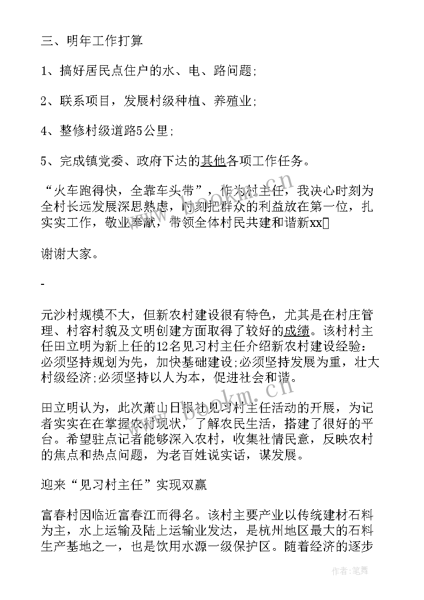 村主任工作计划 村主任发言(精选10篇)