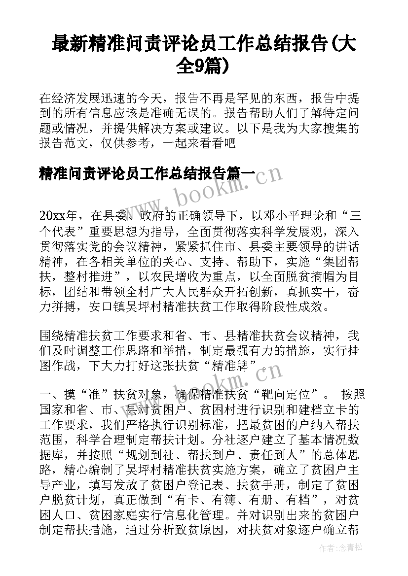 最新精准问责评论员工作总结报告(大全9篇)