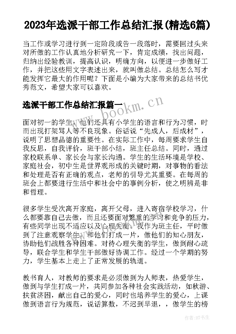 2023年选派干部工作总结汇报(精选6篇)