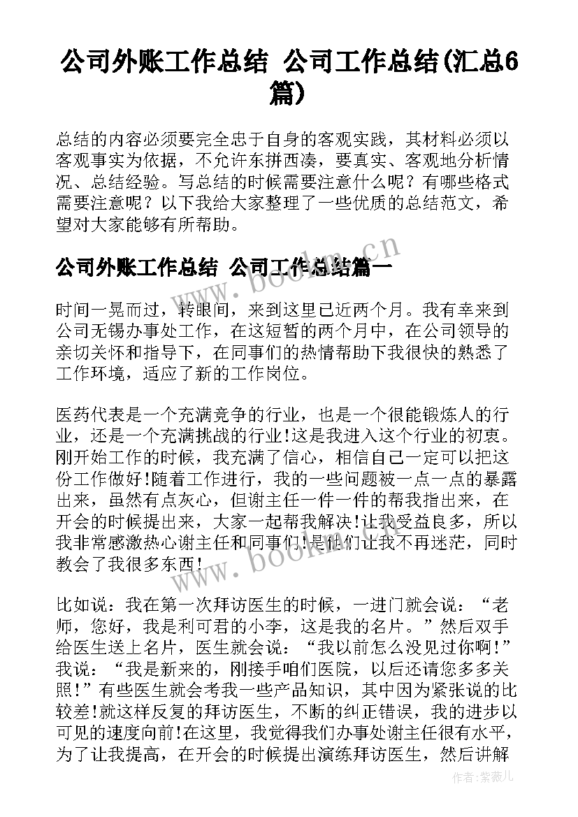 公司外账工作总结 公司工作总结(汇总6篇)