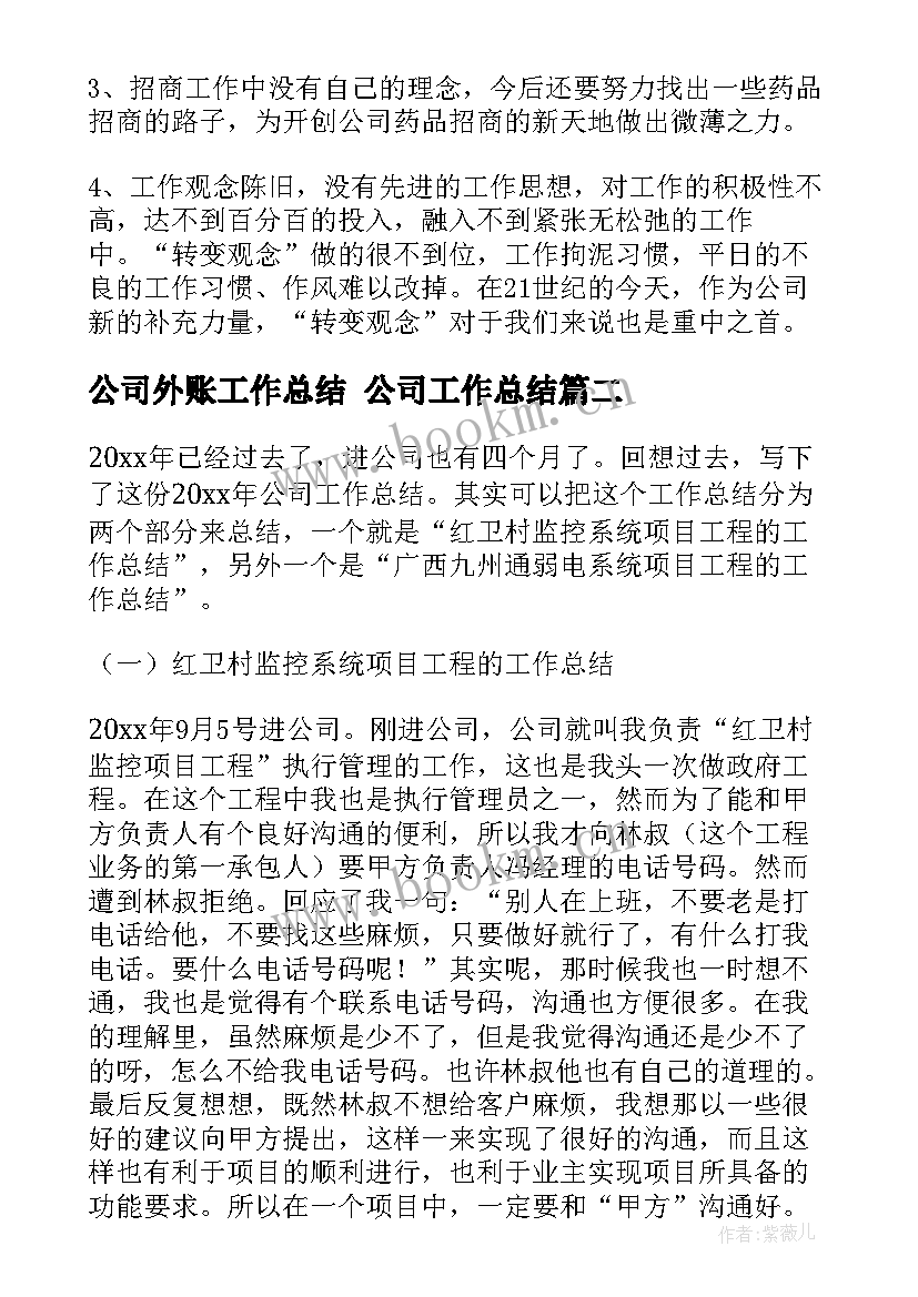 公司外账工作总结 公司工作总结(汇总6篇)