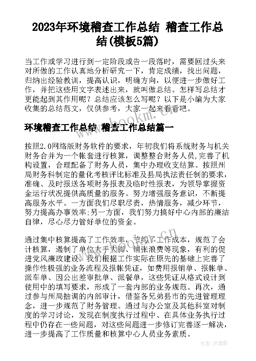 2023年环境稽查工作总结 稽查工作总结(模板5篇)