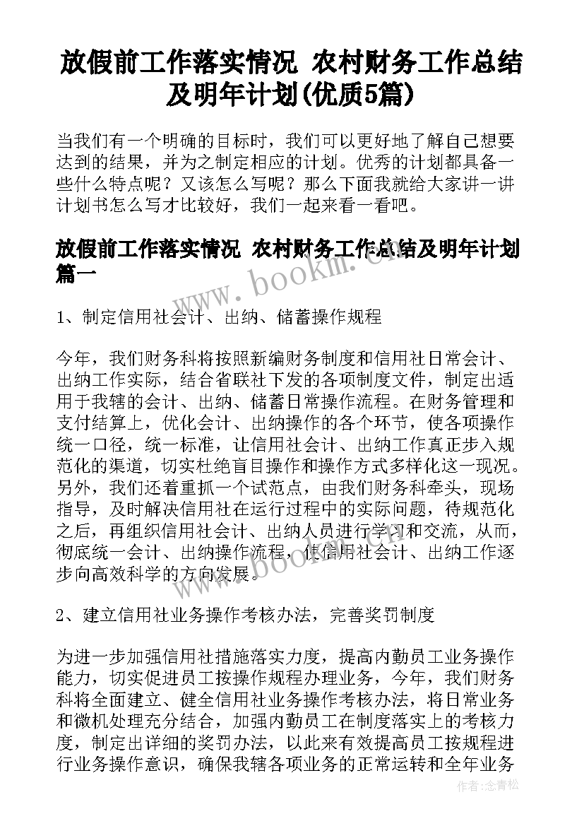 放假前工作落实情况 农村财务工作总结及明年计划(优质5篇)