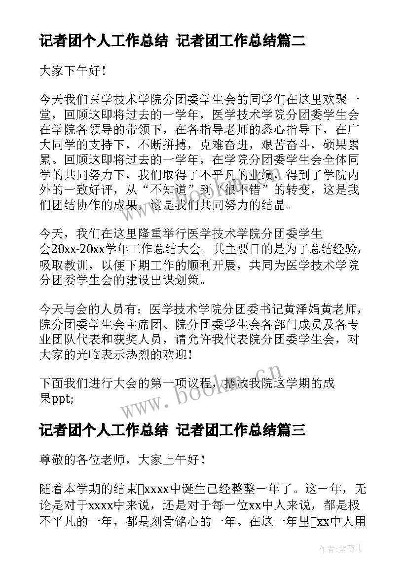 2023年记者团个人工作总结 记者团工作总结(通用7篇)