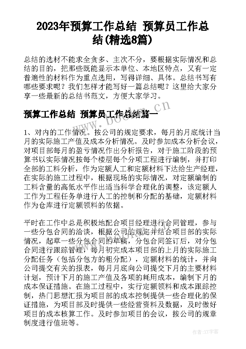 2023年预算工作总结 预算员工作总结(精选8篇)