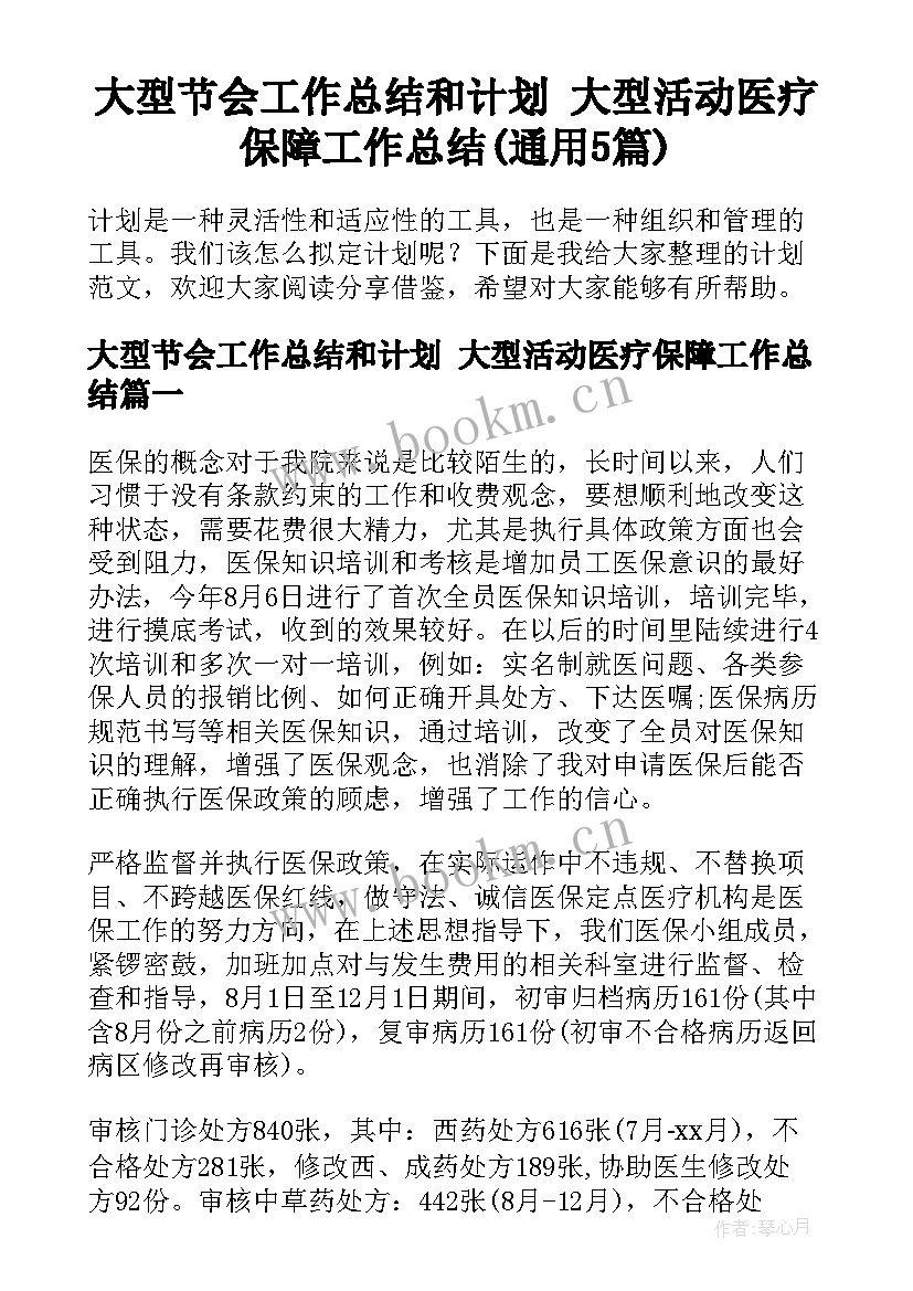 大型节会工作总结和计划 大型活动医疗保障工作总结(通用5篇)