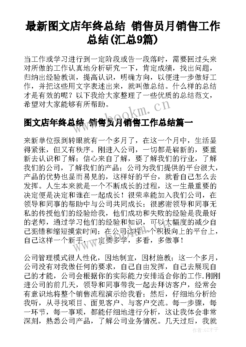 最新图文店年终总结 销售员月销售工作总结(汇总9篇)