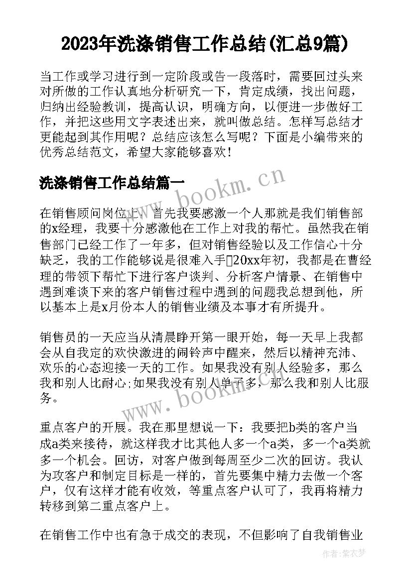 2023年洗涤销售工作总结(汇总9篇)