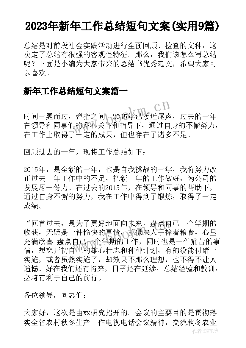 2023年新年工作总结短句文案(实用9篇)