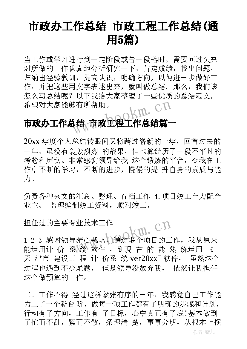 市政办工作总结 市政工程工作总结(通用5篇)