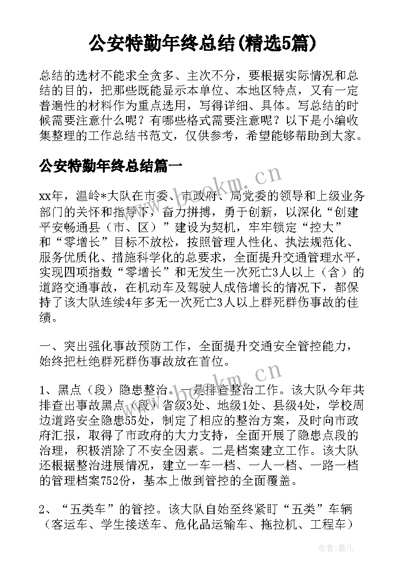 公安特勤年终总结(精选5篇)