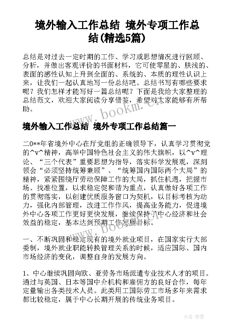 境外输入工作总结 境外专项工作总结(精选5篇)