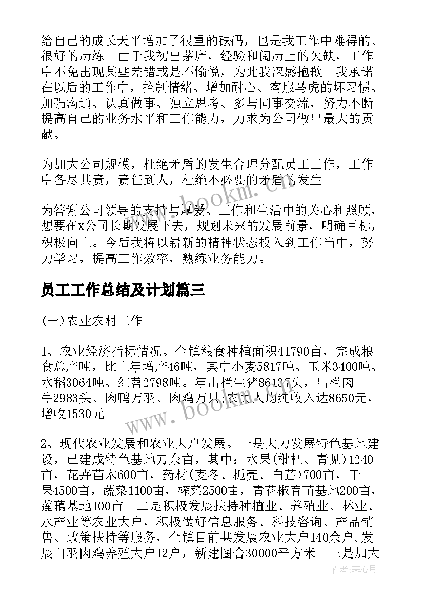 2023年员工工作总结及计划(实用6篇)