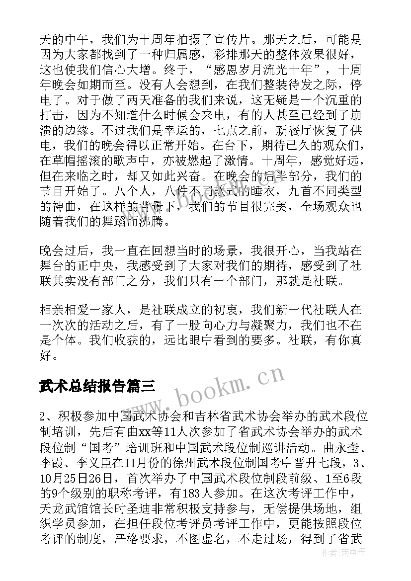 2023年武术总结报告(模板7篇)