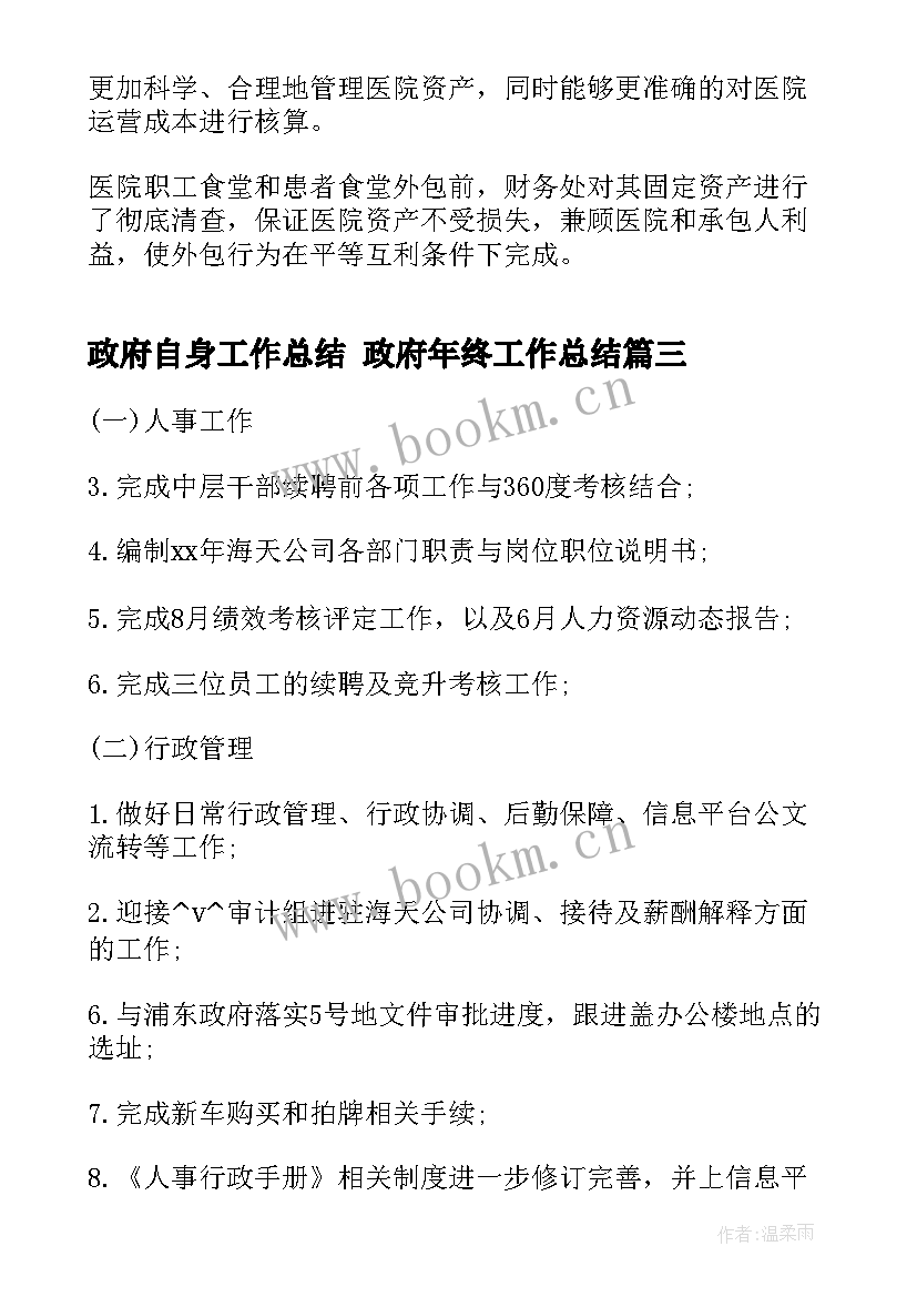 最新政府自身工作总结 政府年终工作总结(模板8篇)