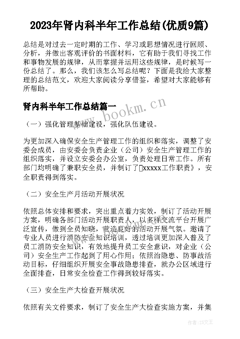 2023年肾内科半年工作总结(优质9篇)