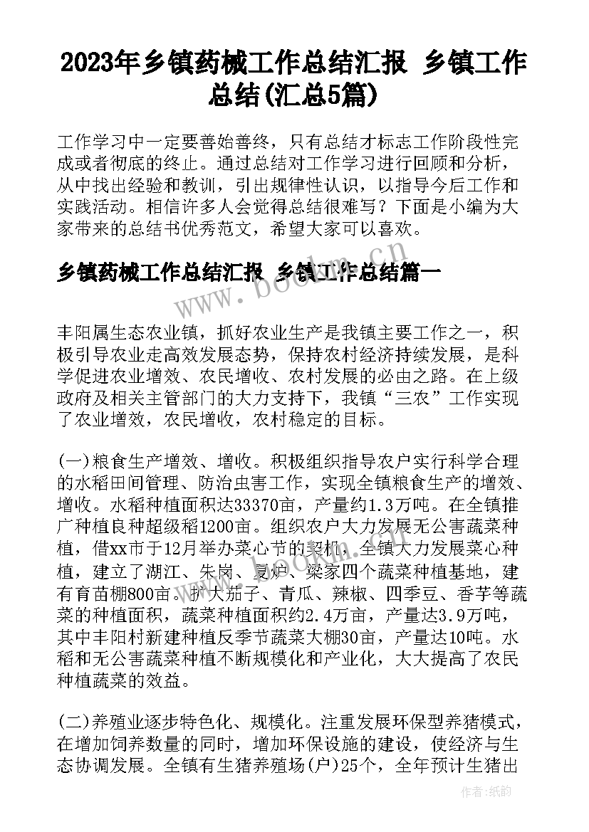 2023年乡镇药械工作总结汇报 乡镇工作总结(汇总5篇)