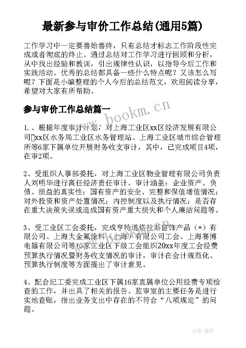 最新参与审价工作总结(通用5篇)