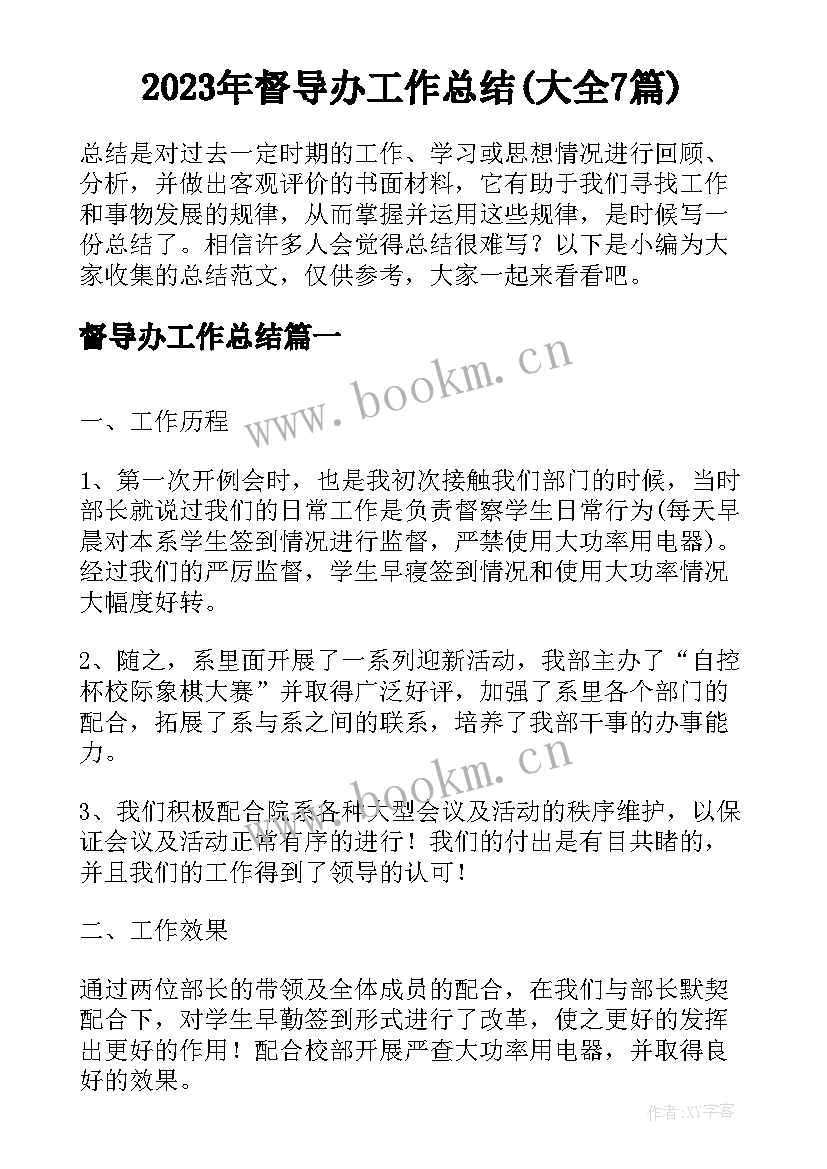 2023年督导办工作总结(大全7篇)