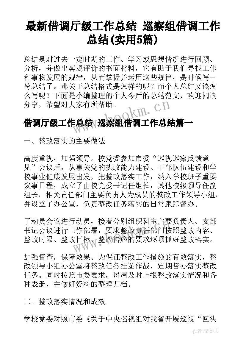 最新借调厅级工作总结 巡察组借调工作总结(实用5篇)