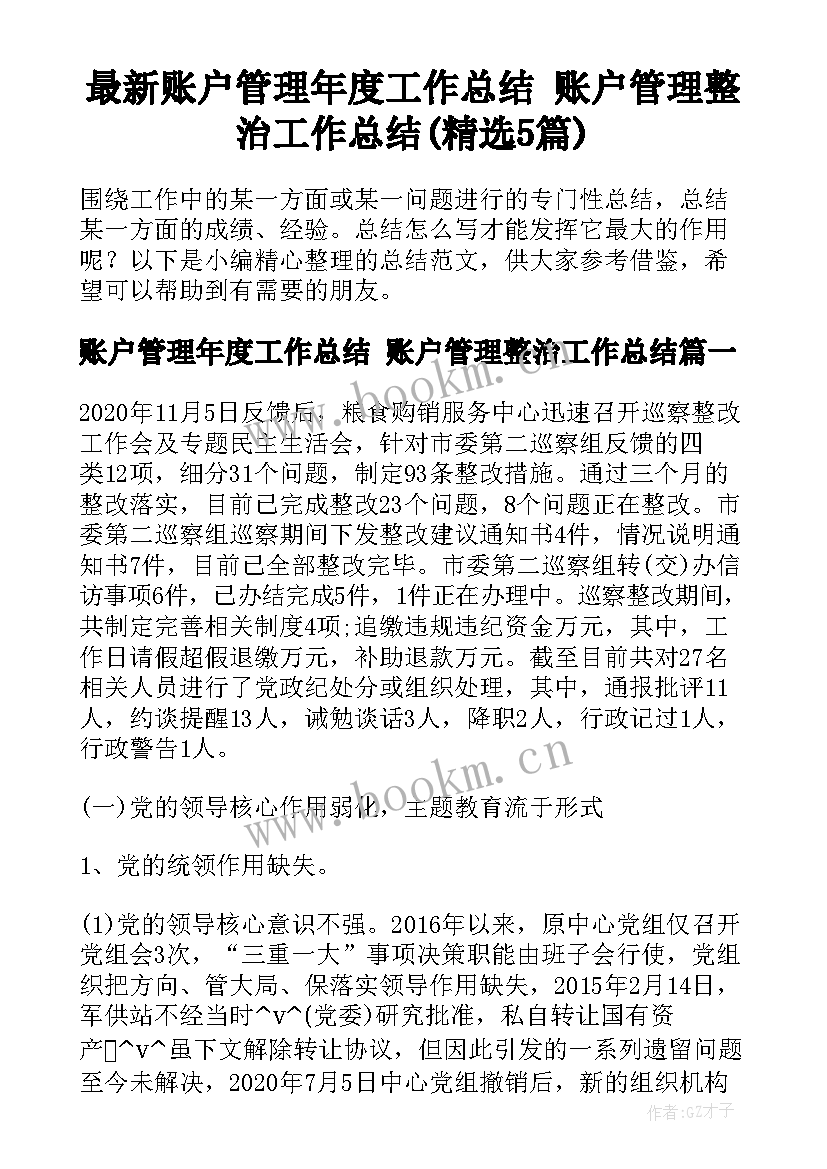 最新账户管理年度工作总结 账户管理整治工作总结(精选5篇)