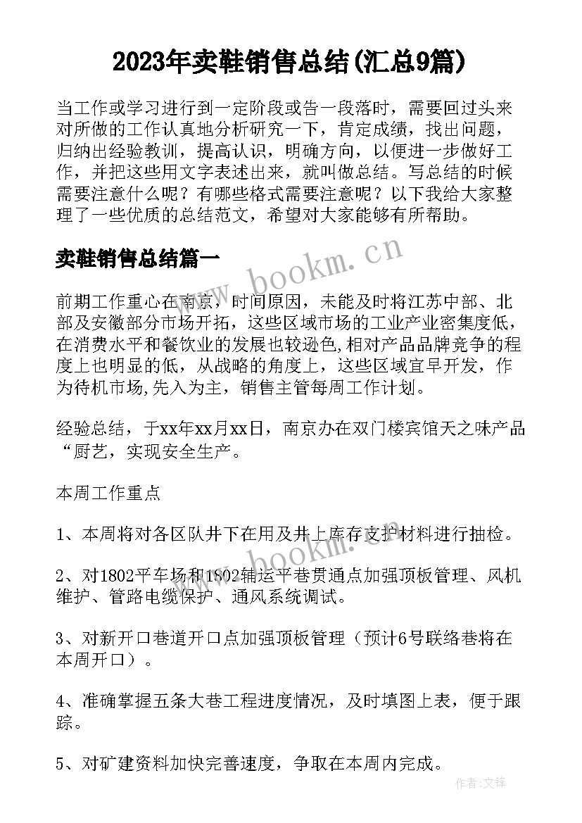 2023年卖鞋销售总结(汇总9篇)