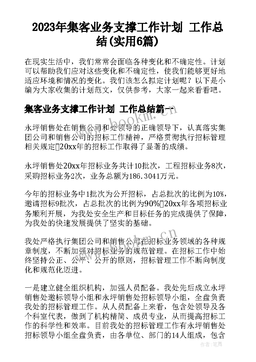 2023年集客业务支撑工作计划 工作总结(实用6篇)