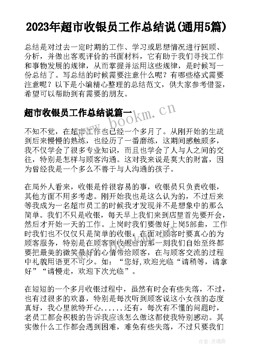 2023年超市收银员工作总结说(通用5篇)