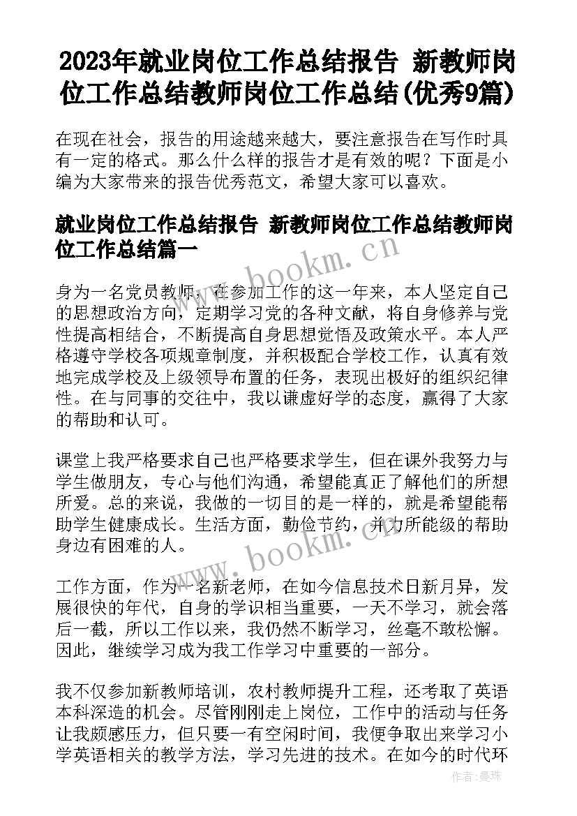 2023年就业岗位工作总结报告 新教师岗位工作总结教师岗位工作总结(优秀9篇)