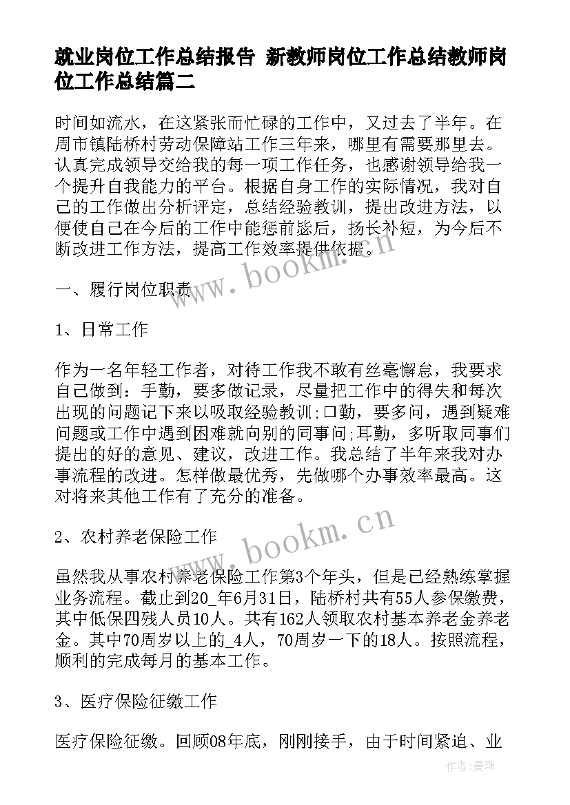 2023年就业岗位工作总结报告 新教师岗位工作总结教师岗位工作总结(优秀9篇)